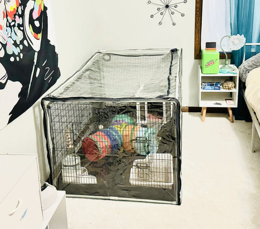 Buddy Bubble Buyer's Guide: Choosing the Right Fit for Your Pet