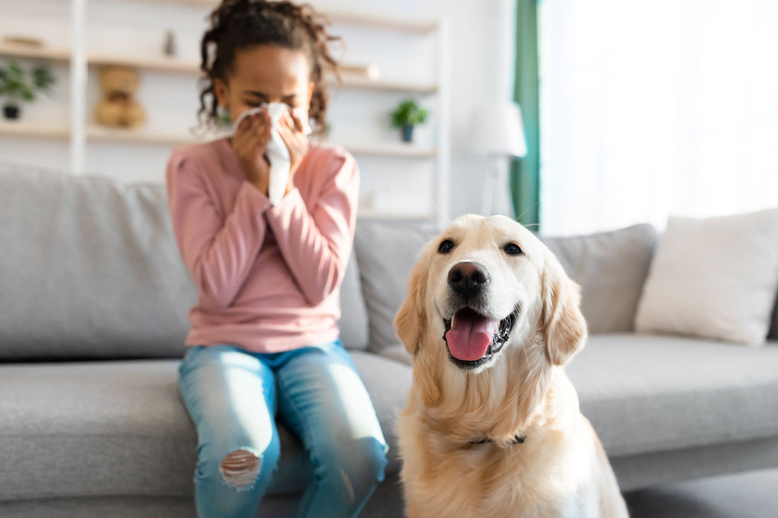 The Best Pets for People with Allergies