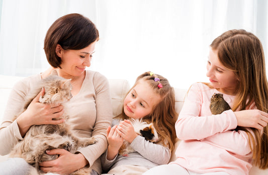 Understanding Pet Allergies: How to Manage and Reduce Them