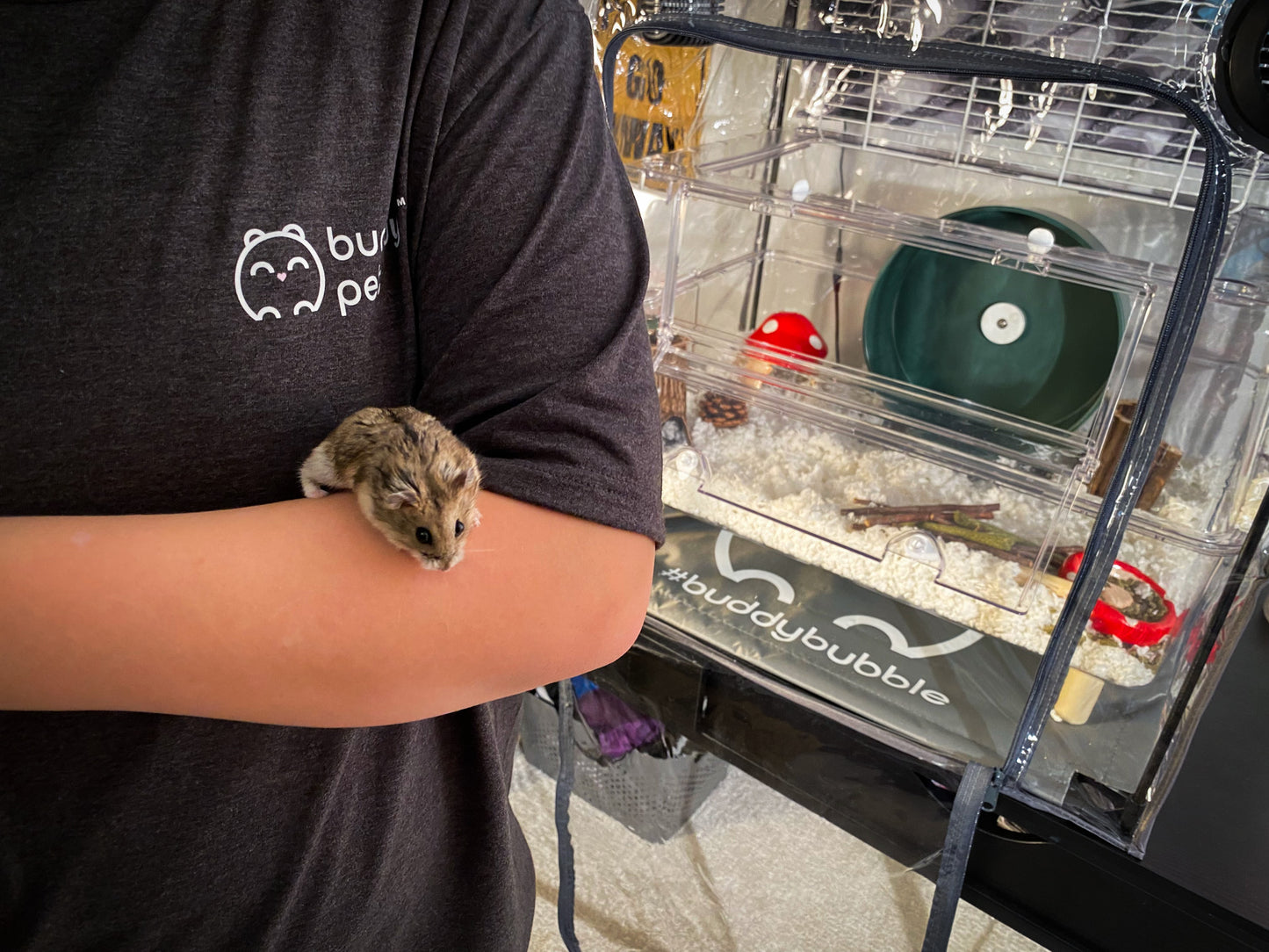 Our Exclusive Buddy Bubble