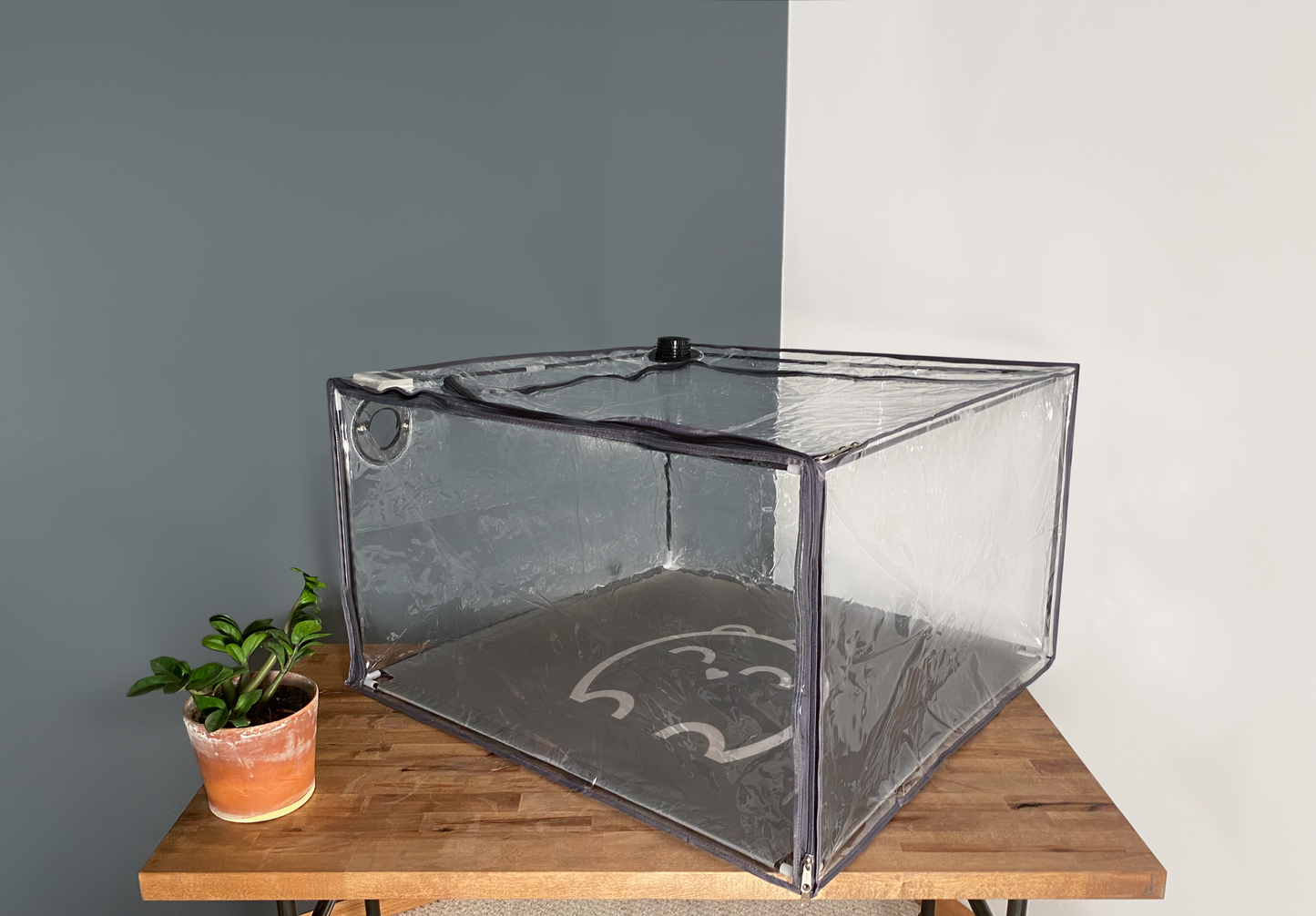 Buddy Bubble Small Laying Horizontally on Table in a Room